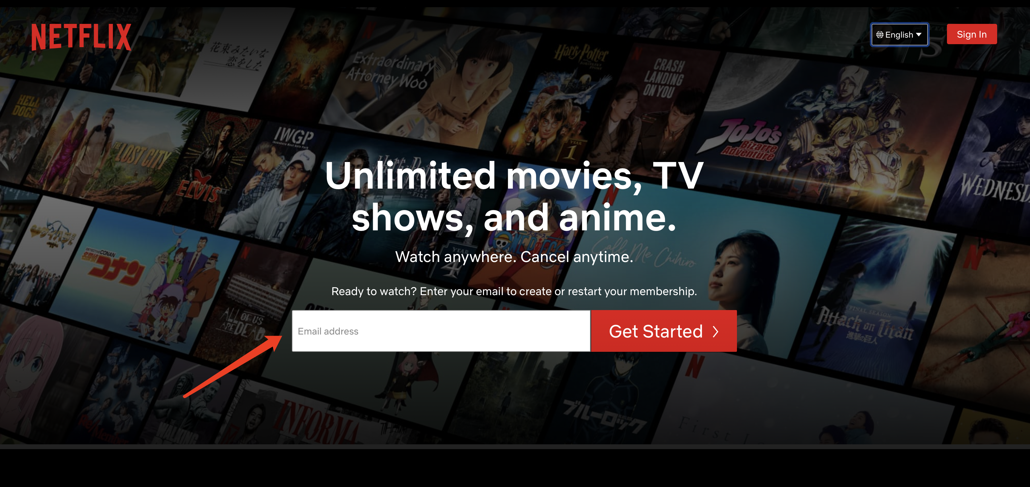 如何使用Netflix?